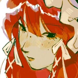 Meet your Posher, ☆•*:° hana